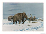 Mammoth Herd During the Ice Age