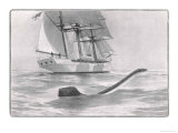 Buy Marine Creature Observed by Naturalist M J Nicoll from the "Valhalla" off Pava at AllPosters.com