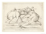 Two Elephants Fighting with Men on Their Backs