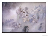 Buy The Ice Fairies Arrive at Mother Careys Pool at AllPosters.com