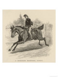 Buy Australian Telegraph Messenger at AllPosters.com