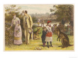 Australians Celebrate Christmas at the Height of Summer with a Picnic