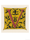 Buy The Letter V at AllPosters.com