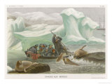 Buy Harpooning Walrus at AllPosters.com
