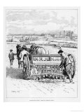 Buy Drilling Barley at AllPosters.com