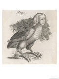 Buy Johnstone Includes the Harpy in His Natural History of Birds at AllPosters.com