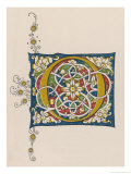 Buy The Letter O at AllPosters.com