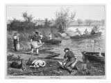 Buy Swan-Upping on the Thames at AllPosters.com