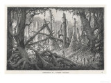 Buy Emin Pasha Relief Expedition: The Expedition Fights Its Way Through the Congo Forest at AllPosters.com
