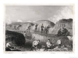 Buy The Guards Working in the British Trenches Before Sebastopol at AllPosters.com