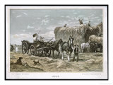 Buy Building the Haystack at AllPosters.com
