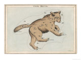 Buy The Constellation of Ursa Major at AllPosters.com