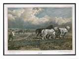 Buy Ploughing with a Three-Horse Team at AllPosters.com