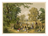 Buy The Corn Harvest at AllPosters.com