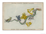 Buy Hydra Constellation Including an Owl a Raven and a Sextant at AllPosters.com