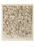 Buy Myriad of Faces Looking in Different Directions: Characters and Caricatures at AllPosters.com