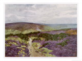 Buy Yorkshire Scenery: Sleights Moor at AllPosters.com