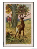 Buy He Encounters a Stag with a Cherry Tree Growing from a Cherry Stone Implanted in Its Head at AllPosters.com