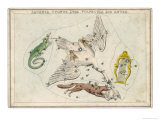 Buy Lizard Swan Lyre Fox and Goose Star Constellation at AllPosters.com