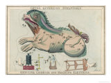 Buy Cetus (Sea Monster) and Chemical Factory and Electrical Machinery Constellation at AllPosters.com