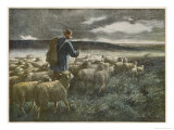 Buy "Fleeing the Storm", a Shepherd Returns Home with His Flock Before They All Get Soaked at AllPosters.com