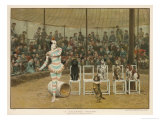 Buy Circus Clown with Five Dogs in a Circus Ring at AllPosters.com