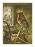 Two Children Watch a Robin the Barn Who is Standing on One Leg
