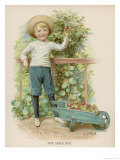 Buy Boy Picks Apples from a Conveniently Low-Hanging Tree Filling a Wheelbarrow at AllPosters.com