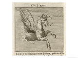 Buy Equus the Horse at AllPosters.com