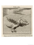 Buy Olor the Swan at AllPosters.com