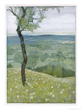 Buy View from the Hill at AllPosters.com
