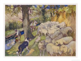 Buy Sheep Dipping: Three Men a Dog and a Large Flock of Sheep at AllPosters.com