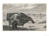 Buy Stalking Horse at AllPosters.com
