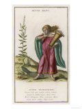 Buy Man Collects Roses at AllPosters.com