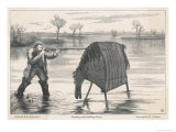 Buy Shooting Wildfowl with the Aid of a Stalking Horse at AllPosters.com