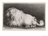 Buy Very Early and Beautiful Engraving of a Dog of Inderminate Breed at AllPosters.com