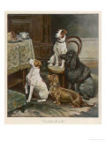 Buy Four Dogs Lust after Their Owners' Food at AllPosters.com