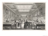 The Zoological Gallery