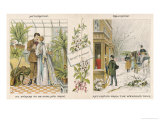 Buy Anticipation Then Realisation: a Newly-Wedded Couple During and after Their Wedding Trip at AllPosters.com