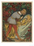 Buy The Prince Kisses the Princess and She Awakens at AllPosters.com