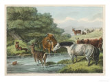 Buy The Frog Turned Physician, the Frog Addresses the Animals from the Pond at AllPosters.com