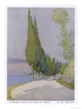 Buy Row of Cypress Trees Edge the Path Near Salo Lake Garda at AllPosters.com