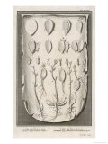Buy Thou Fool That at AllPosters.com