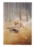 Buy Young Indian Encounters His Totem Spirit "Utonagan" in the Form of a She-Wolf at AllPosters.com