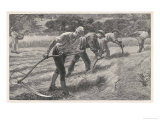 Four Men Scythe Hay into Rows: a Woman Brings Their Lunch