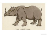 Buy Female Rhinoceros of Sumatra at AllPosters.com