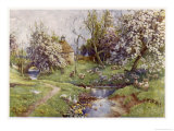 Buy Picturesque Stream in the English Countryside with Geese at AllPosters.com