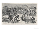 Buy Oasis Central Africa at AllPosters.com