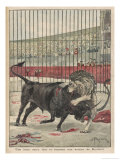 Buy Bull and Lion Fight at AllPosters.com
