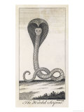 Buy The Hooded Serpent at AllPosters.com